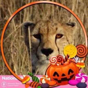 Meet your Posher, Connie